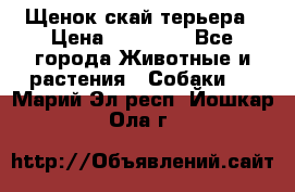 Щенок скай терьера › Цена ­ 20 000 - Все города Животные и растения » Собаки   . Марий Эл респ.,Йошкар-Ола г.